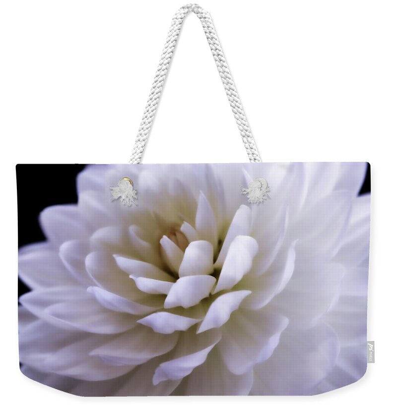 Dahlia Weekender Tote Bag featuring the photograph White Dahlia Square Format by Sally Bauer