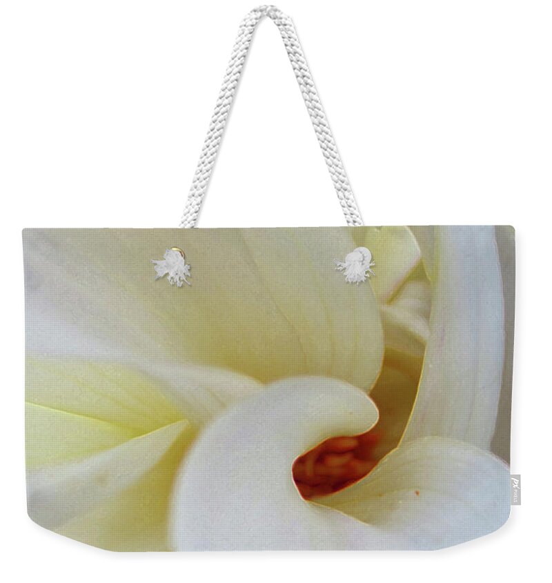 White Weekender Tote Bag featuring the photograph White Dahlia Study 3 by Laura Davis