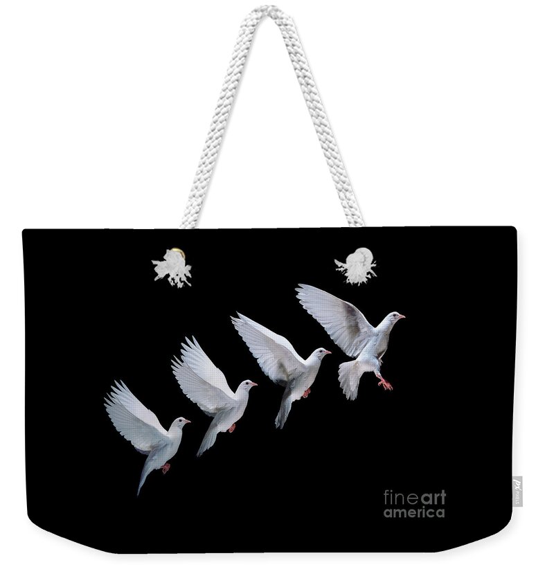 Columba Livia Weekender Tote Bag featuring the photograph White dove in flight multiple exposure 4 on black by Warren Photographic