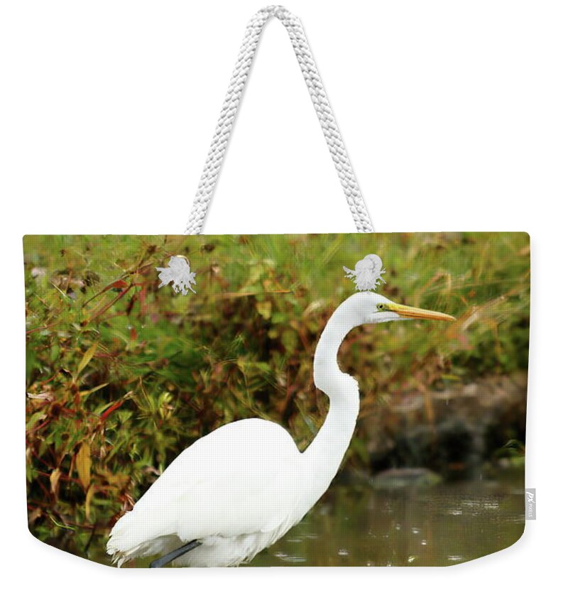Animal Weekender Tote Bag featuring the photograph White Egret by Lens Art Photography By Larry Trager