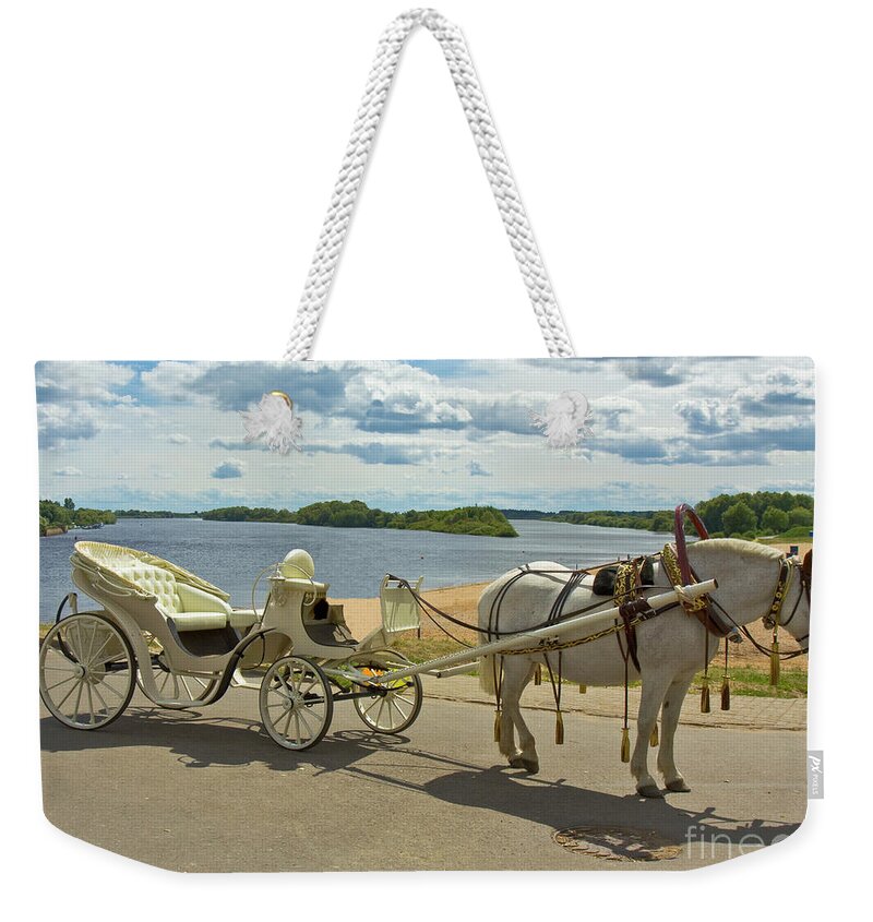 Horse Weekender Tote Bag featuring the photograph White horse with white carriage by Irina Afonskaya