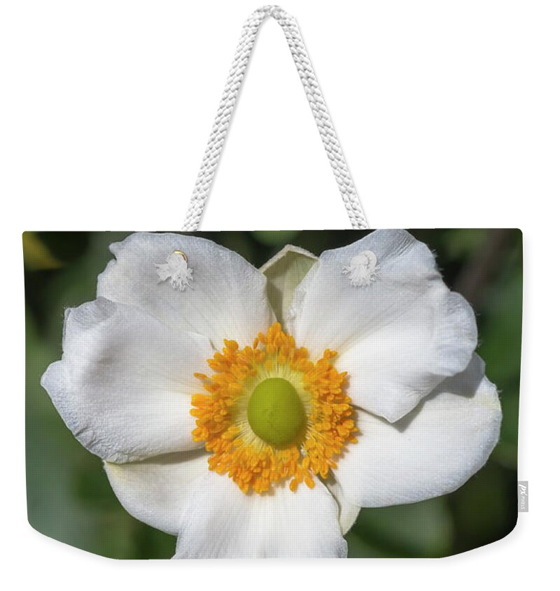 Flower Weekender Tote Bag featuring the photograph White Japanese Anemone by Dawn Cavalieri