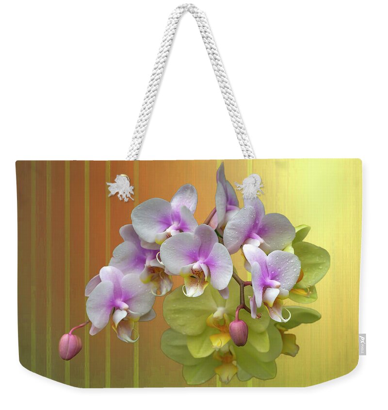 White Moth Orchids Weekender Tote Bag featuring the photograph White Moth Orchids by Cate Franklyn