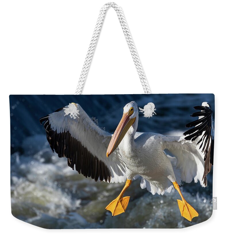 American White Pelican Weekender Tote Bag featuring the photograph White Pelican Coming In For A Landing 2020-1 by Thomas Young