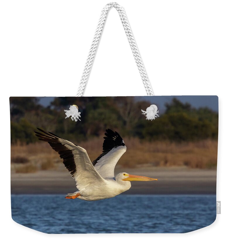 American White Pelican Weekender Tote Bag featuring the photograph White Pelican in Flight by Patricia Schaefer