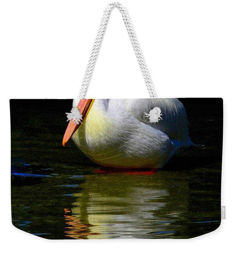 Pelican Weekender Tote Bag featuring the photograph White Pelican of the Night by Alison Belsan Horton