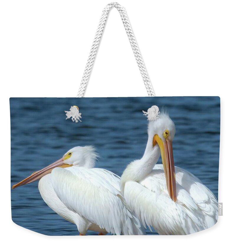 White Pelican Weekender Tote Bag featuring the photograph White Pelicans by Rebecca Herranen