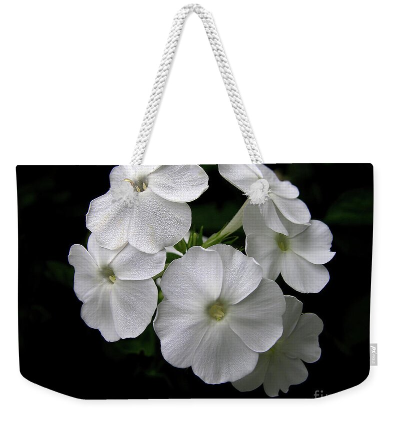 Nature Weekender Tote Bag featuring the photograph White Phlox by Mariarosa Rockefeller