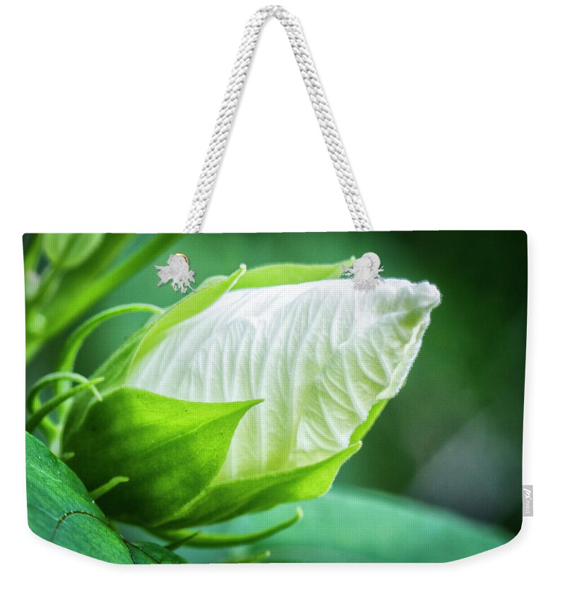 White Hibiscus Bud Weekender Tote Bag featuring the photograph White Hibiscus Bud in the Croatan National Forest by Bob Decker