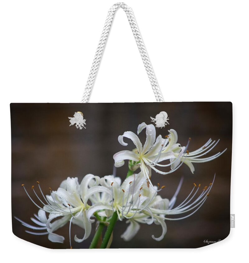 Photograph Weekender Tote Bag featuring the photograph White Spider Lilies by Suzanne Gaff