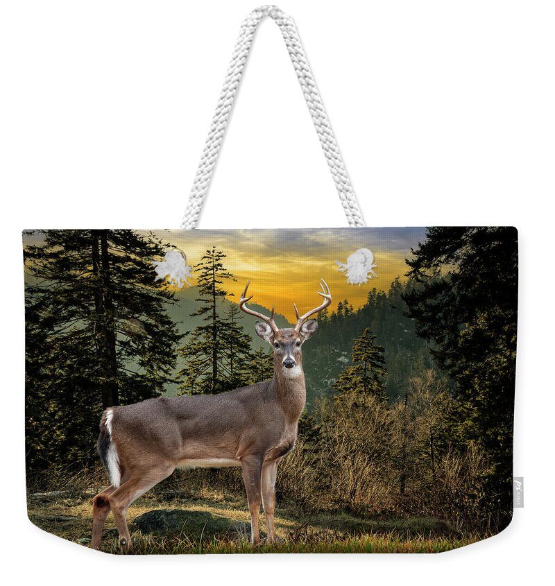 Art Weekender Tote Bag featuring the photograph White Tailed Deer in the Smokey Mountains by Randall Nyhof