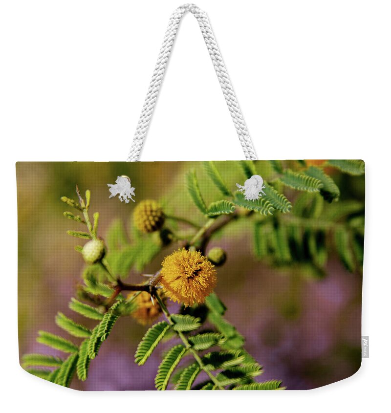 Acacia Weekender Tote Bag featuring the photograph White Thorn Acacia in Bloom by Bonny Puckett