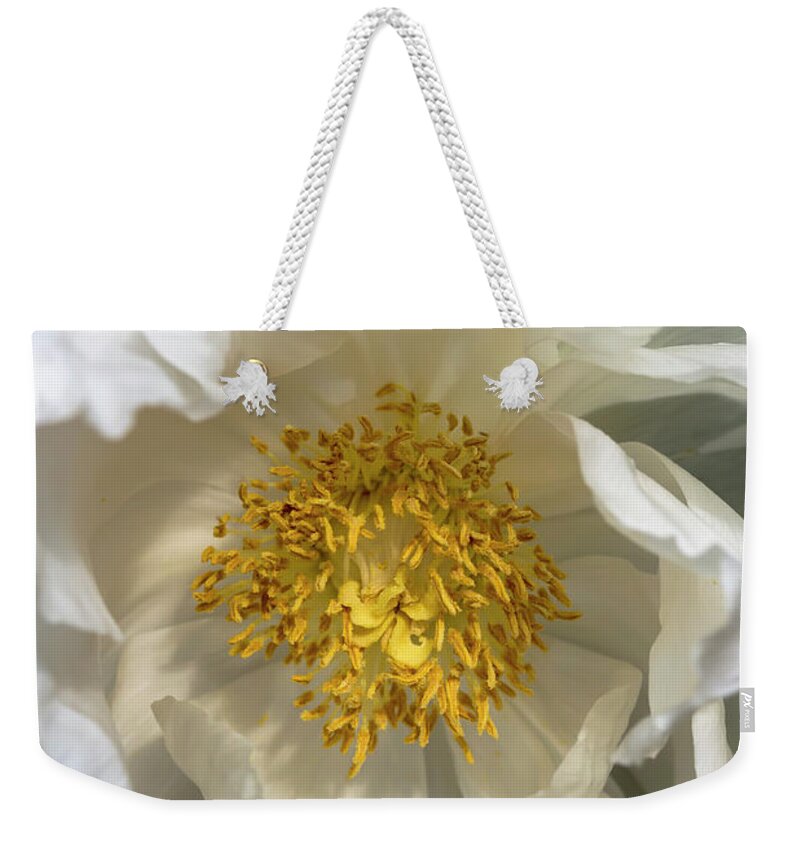 Flower Weekender Tote Bag featuring the photograph White Tree Peony by Dawn Cavalieri