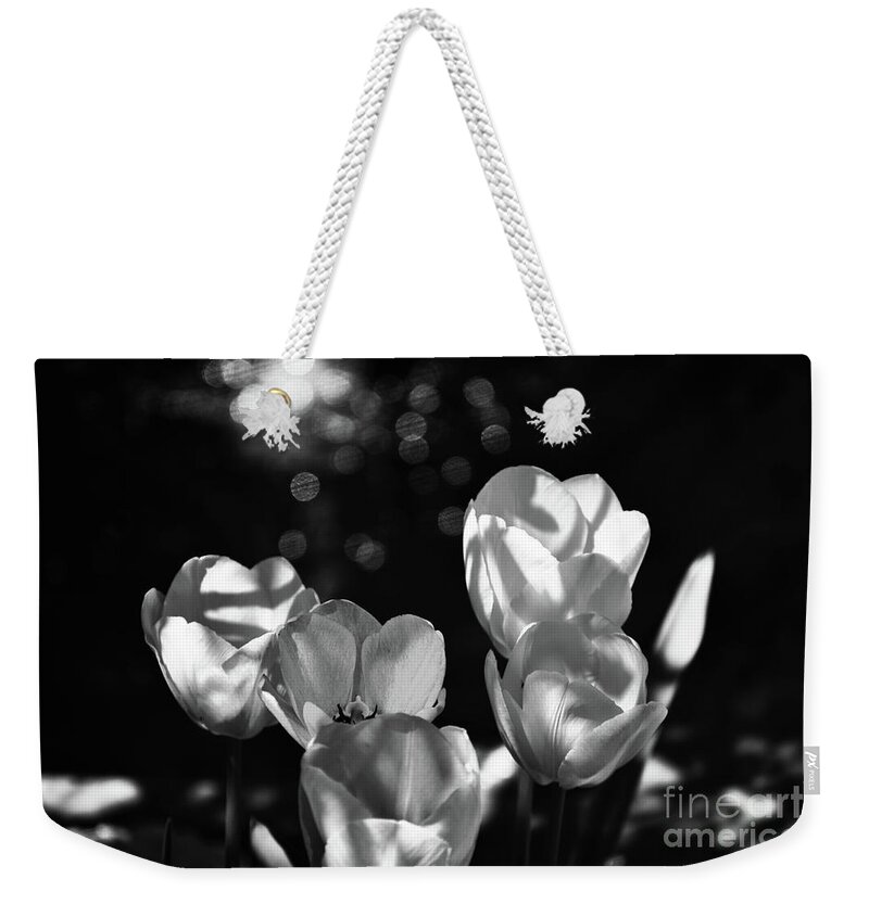 Tulip Weekender Tote Bag featuring the photograph White tulips by PatriZio M Busnel