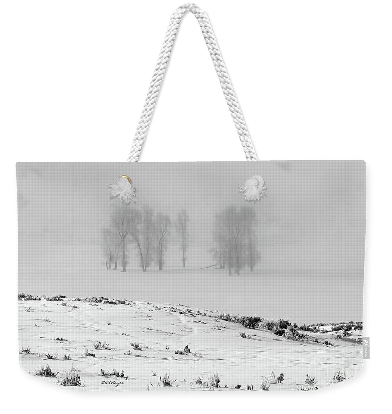 Nature Weekender Tote Bag featuring the photograph Whiteout by DB Hayes