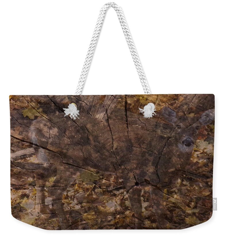 Deer Weekender Tote Bag featuring the mixed media Whitetail Deer by Christopher Reed
