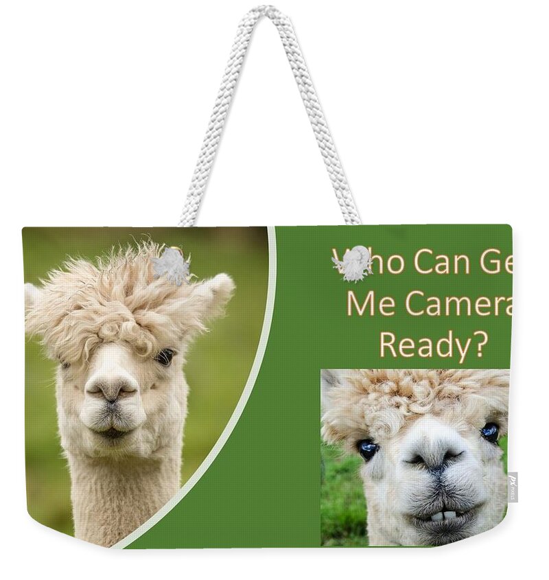 Alpaca Weekender Tote Bag featuring the photograph Who Can Get Me Camera Ready by Nancy Ayanna Wyatt