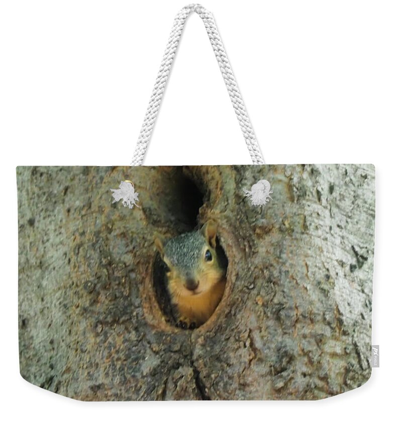 Squirrel Weekender Tote Bag featuring the photograph Who's There by C Winslow Shafer