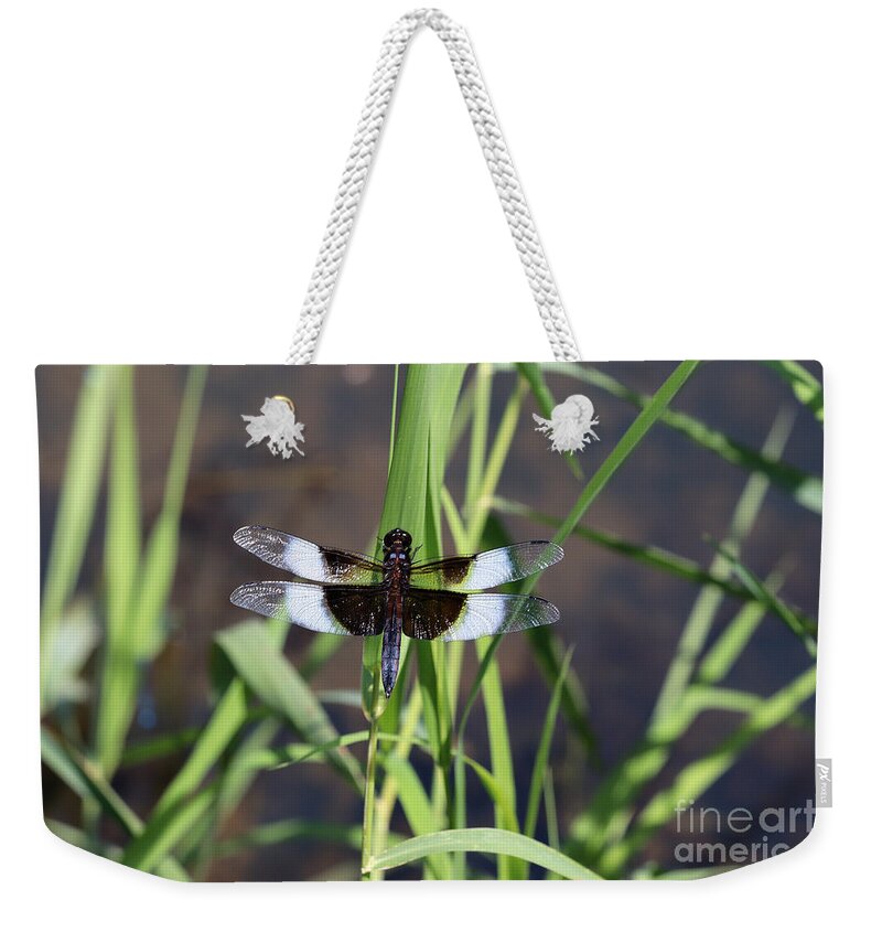 Dragonfly Weekender Tote Bag featuring the photograph Widow Skimmer Dragonfly by Tom Doud