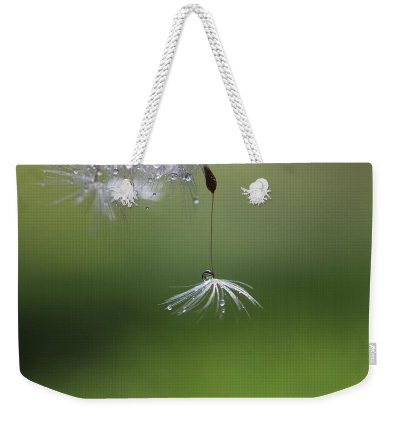 Spring Weekender Tote Bag featuring the photograph Wightless 5 by Heike Hultsch