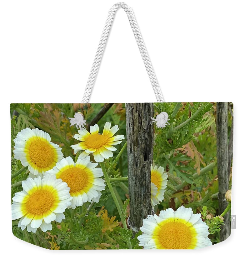 Wild Flowers Weekender Tote Bag featuring the photograph Wild and Dazzling by Wendy Golden