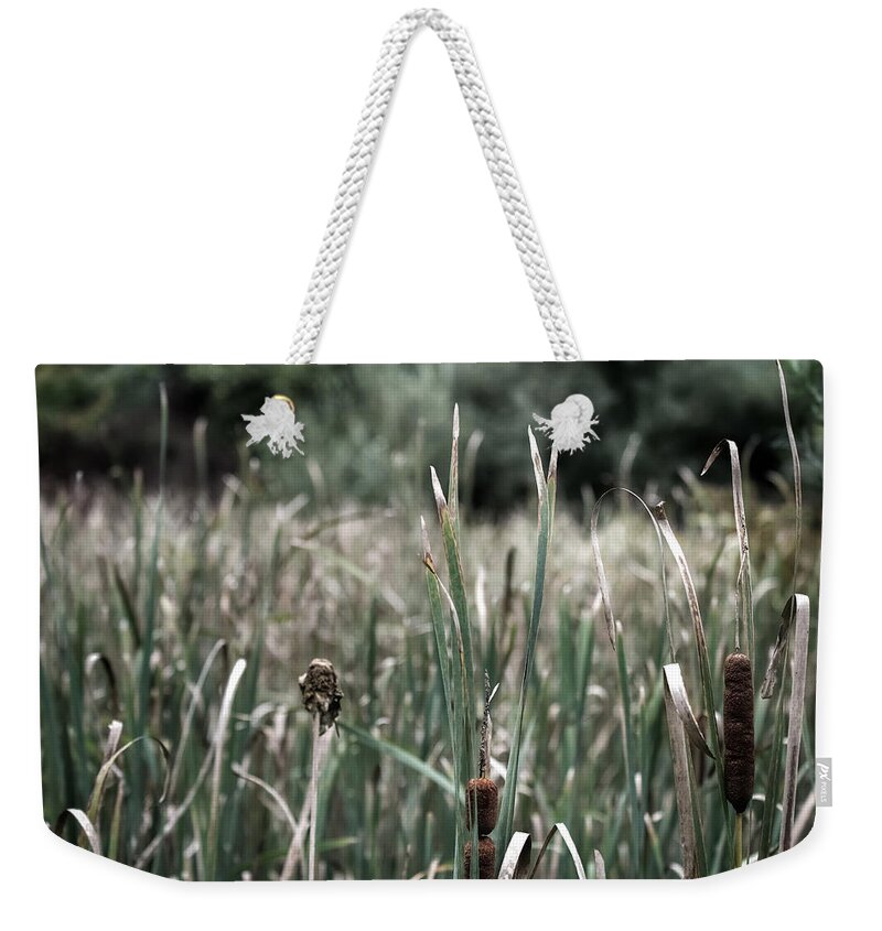 Photo Weekender Tote Bag featuring the photograph Wild Corn Dogs by Evan Foster