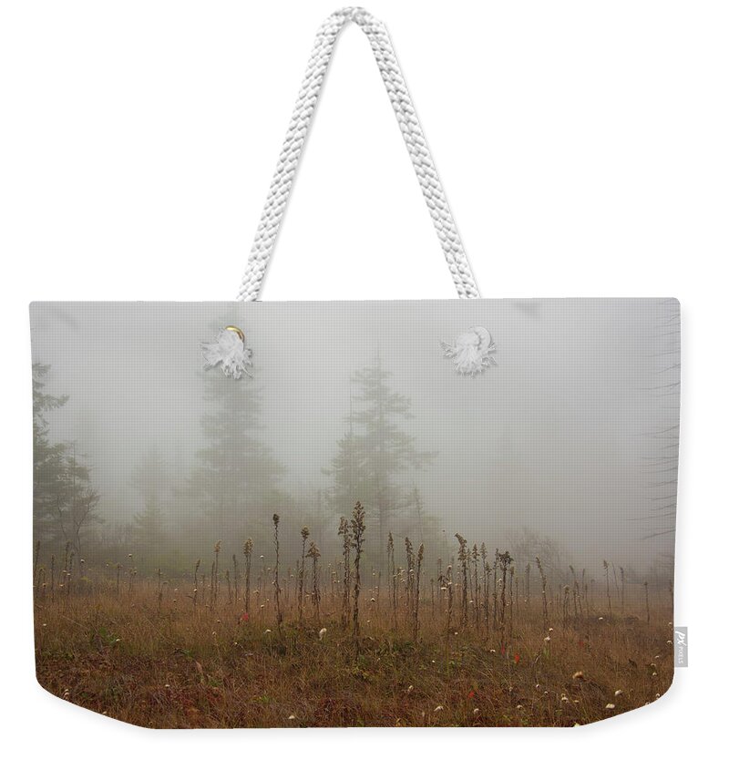 West Weekender Tote Bag featuring the photograph Wild Cranberry Bog in Morning Fog by Carolyn Hutchins