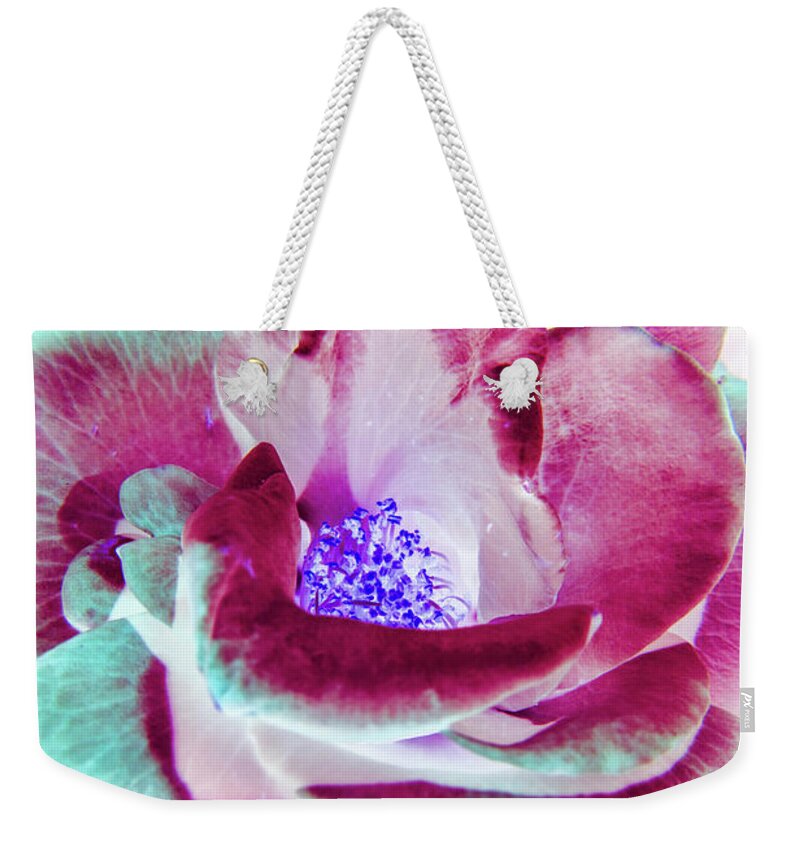 Retro Weekender Tote Bag featuring the photograph Wild exotics by Jorgo Photography