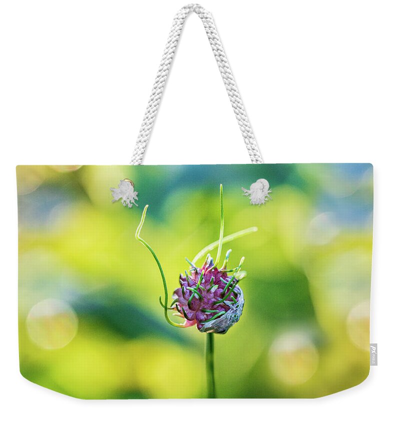 Flower Weekender Tote Bag featuring the photograph Wild Flower Alone 2 by Amelia Pearn