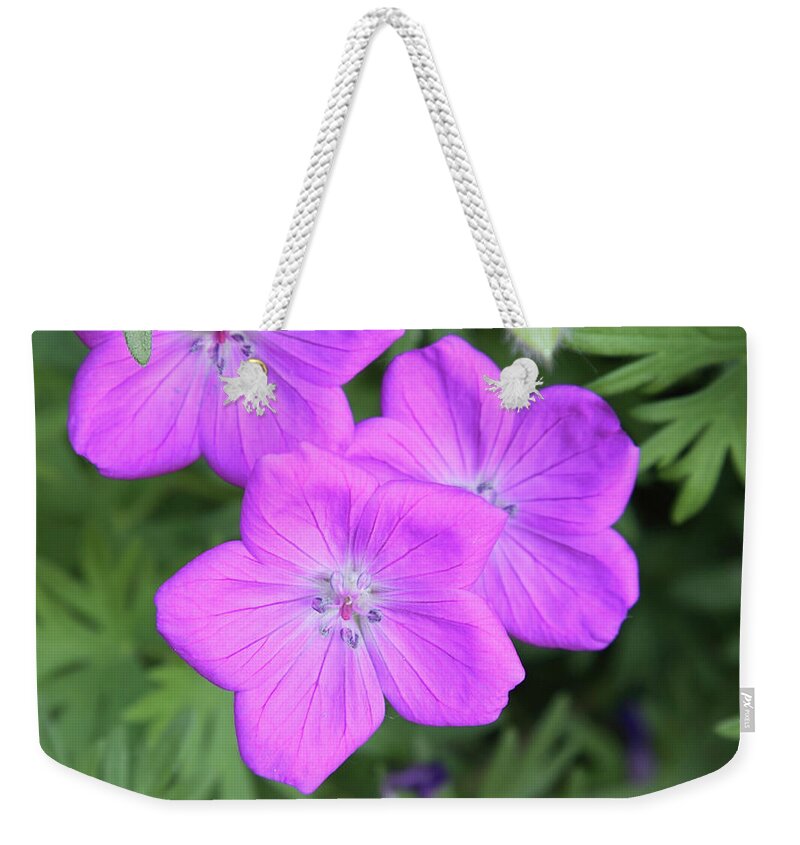 Flowers Weekender Tote Bag featuring the photograph Wild Geraniums by Bob Falcone