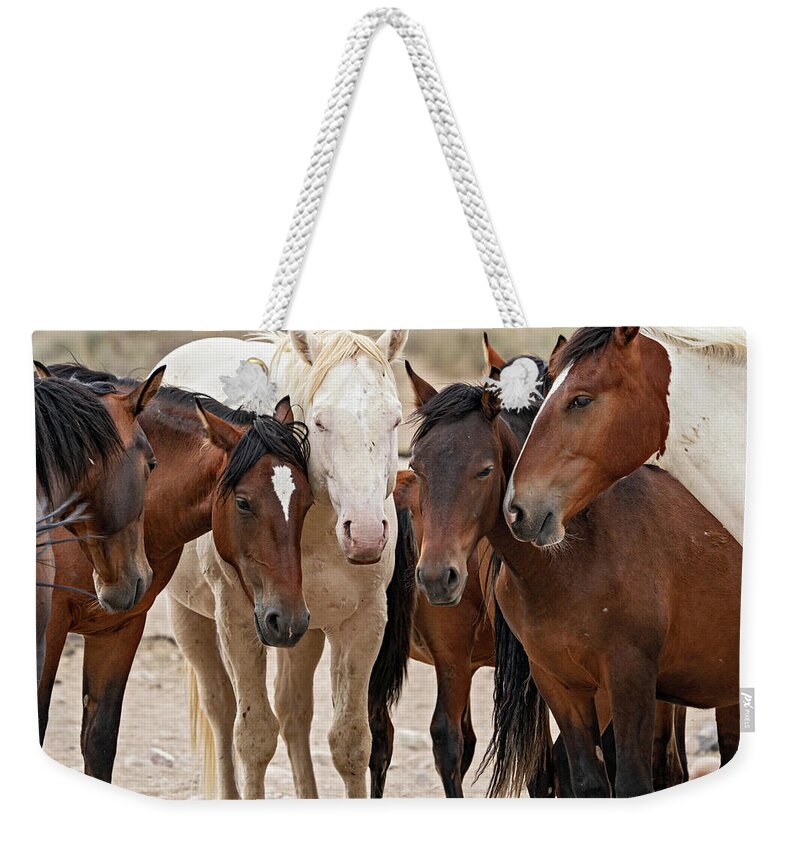 Wild Horses Weekender Tote Bag featuring the photograph Wild Horse Huddle by Wesley Aston
