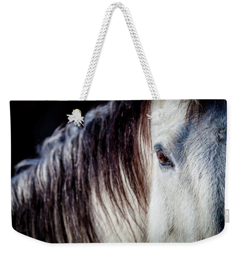 Horse Weekender Tote Bag featuring the photograph Wild Horse No. 4 by Craig J Satterlee