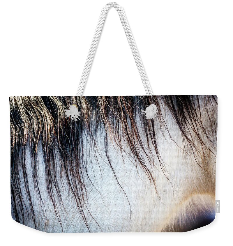 I Love The Beauty Of The Outdoors And Its Natural Wildlife. This Wild Horse Was Shot In The Pryor Mountain Wild Horse Range. Weekender Tote Bag featuring the photograph Wild Horse No. 5 by Craig J Satterlee