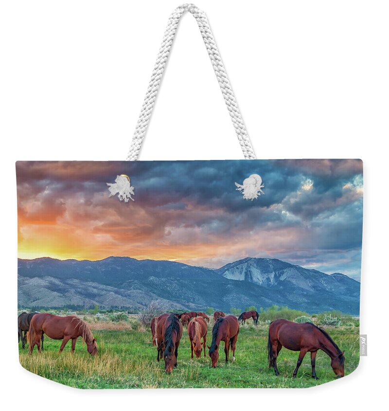 Nevada Weekender Tote Bag featuring the photograph Wild Horses at Sunset by Marc Crumpler