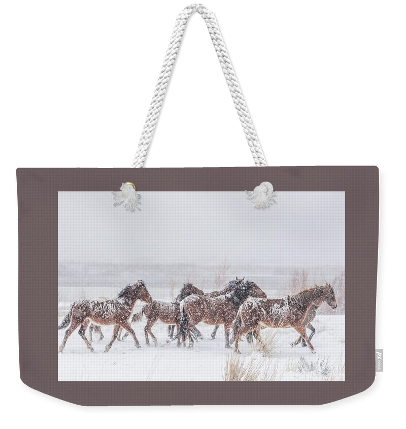 Nevada Weekender Tote Bag featuring the photograph Wild Horses in Cold Snowy Weather by Marc Crumpler