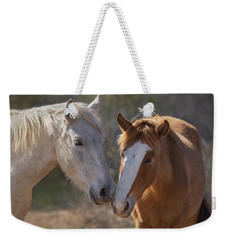 Wild Horses Weekender Tote Bag featuring the photograph Wild Horses of Arizona by Sylvia Goldkranz