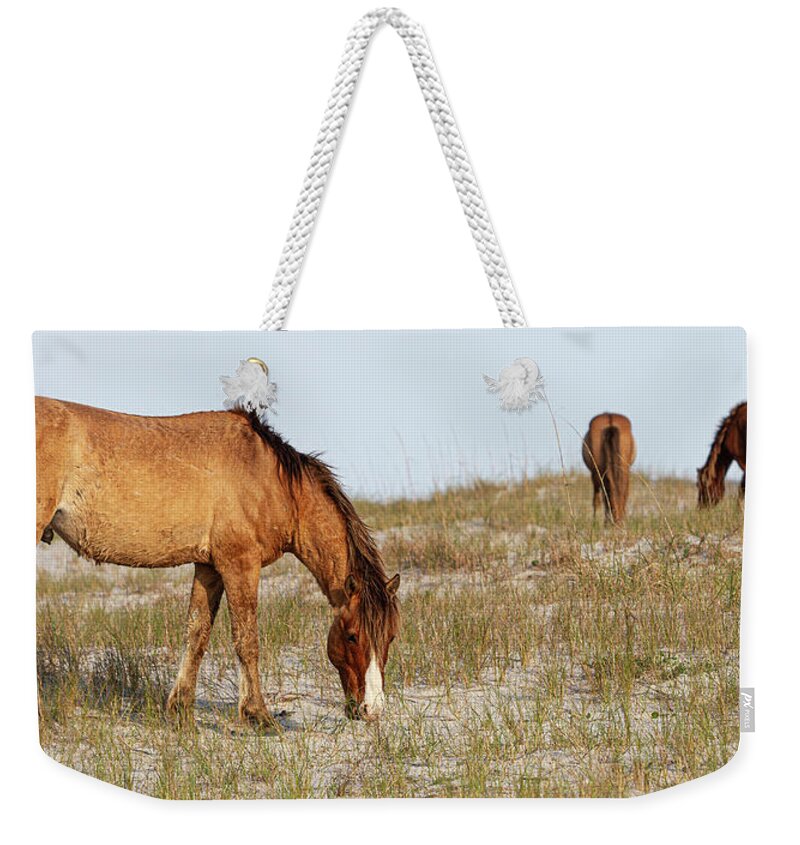 Wild Horses Weekender Tote Bag featuring the photograph Wild Horses of the Southern Outer Banks of North Carolina by Bob Decker