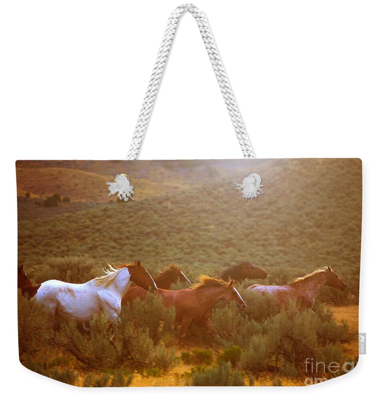 Horse Weekender Tote Bag featuring the photograph Wild Horses Running at Sunset by Diane Diederich