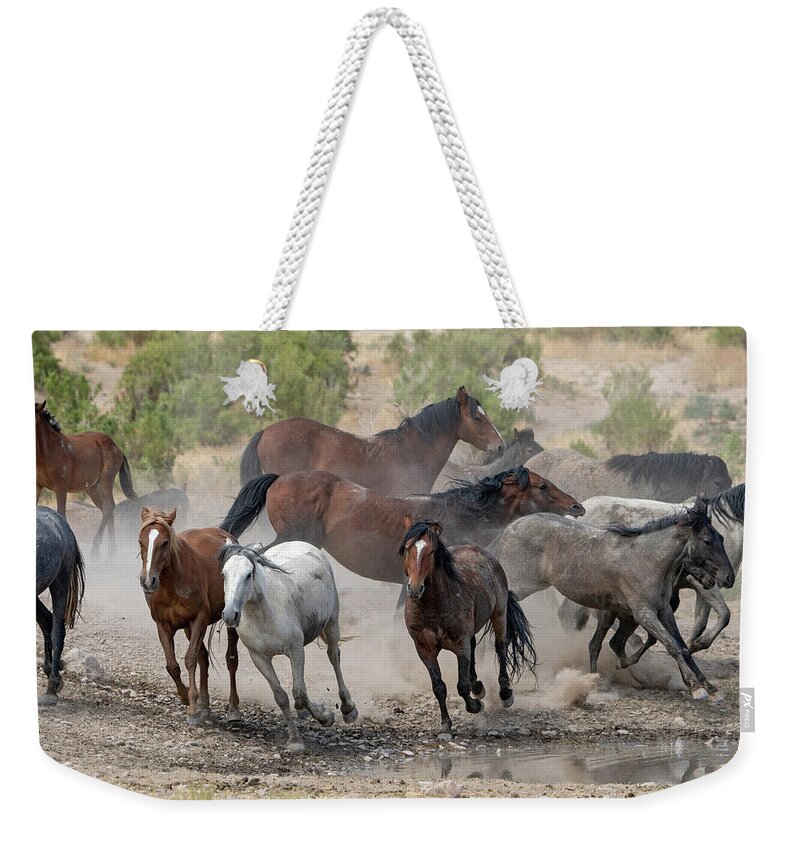Wild Horses Weekender Tote Bag featuring the photograph Wild Horses Utah by Wesley Aston
