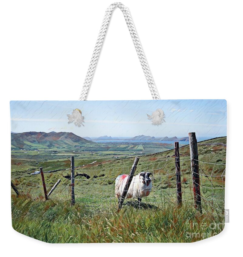 Sheep Ireland Kerry Dingle Peninsula Lambs Weekender Tote Bag featuring the mixed media Sheep by Marie Conboy