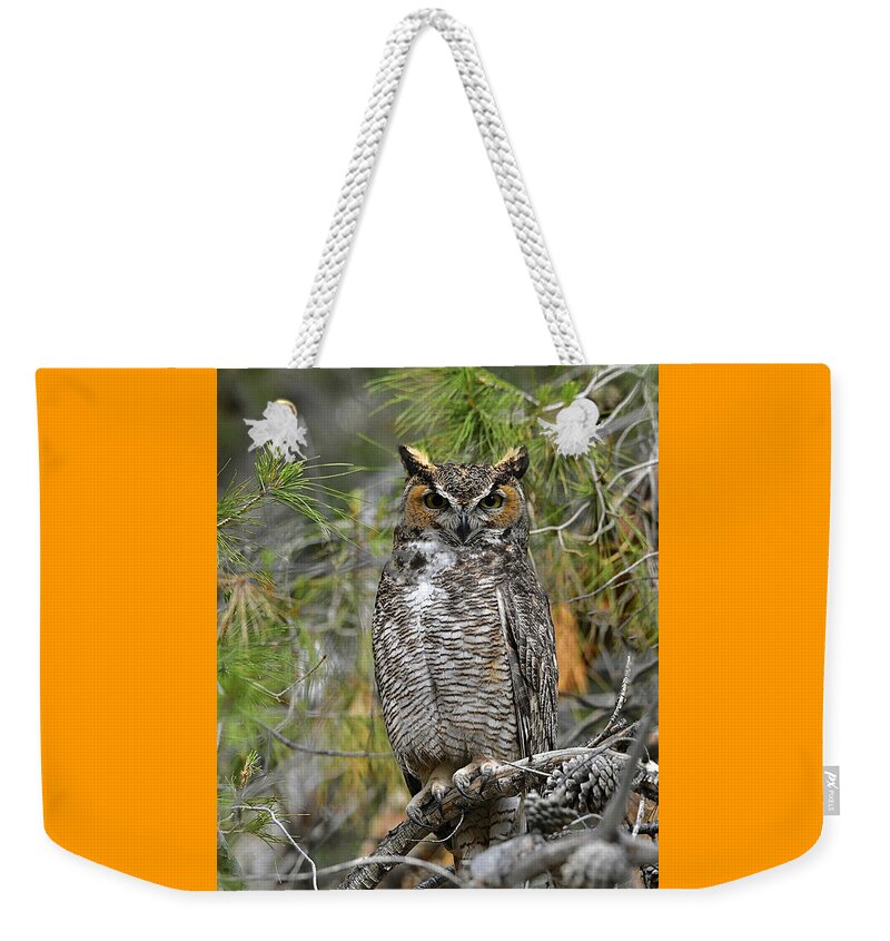 Wild Owl Weekender Tote Bag featuring the digital art Wild Owl by Tammy Keyes