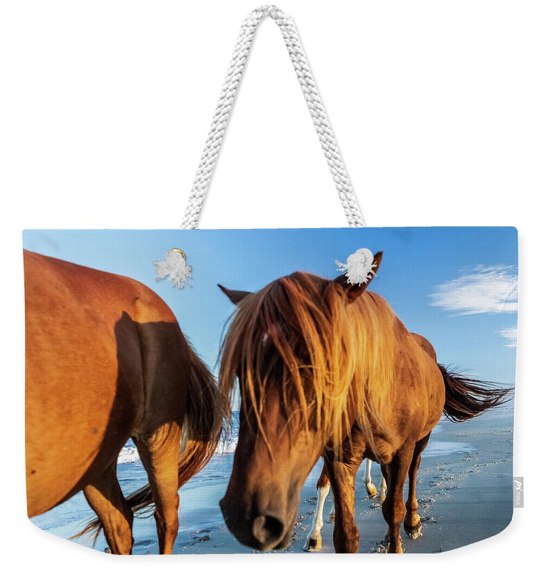 5-places Weekender Tote Bag featuring the photograph Wild Pony Head Shot Assateague Island by Louis Dallara