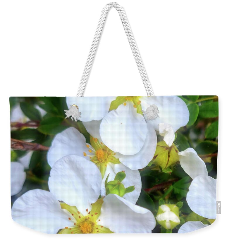 Roses Weekender Tote Bag featuring the photograph Wild Roses by Mimulux Patricia No