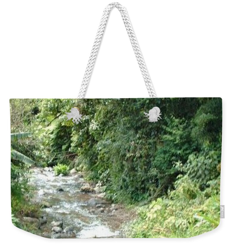 Trees Weekender Tote Bag featuring the photograph Wild stream by Nancy Graham