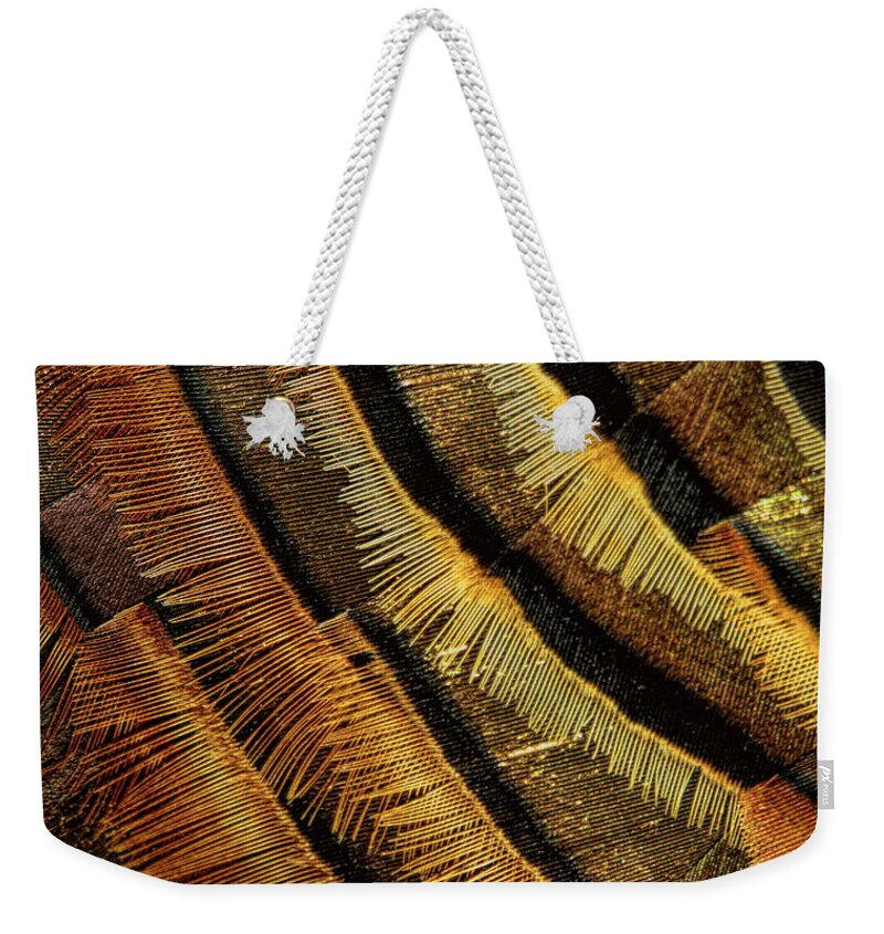 Abstract Weekender Tote Bag featuring the photograph Wild Turkey Tom Feather Abstract by Dale Kauzlaric