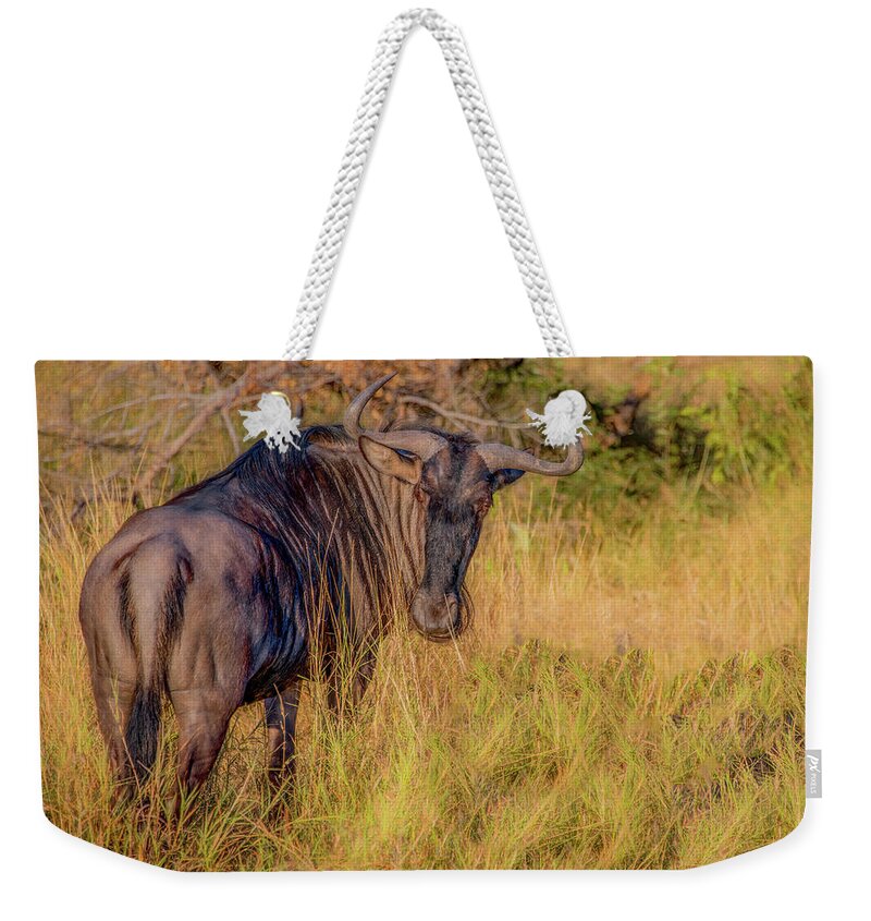 Kruger National Park Weekender Tote Bag featuring the photograph Wildebeest of Kruger National Park by Marcy Wielfaert