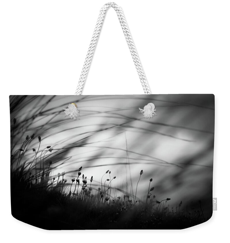 Mood Weekender Tote Bag featuring the photograph Wilderness by Dorit Fuhg