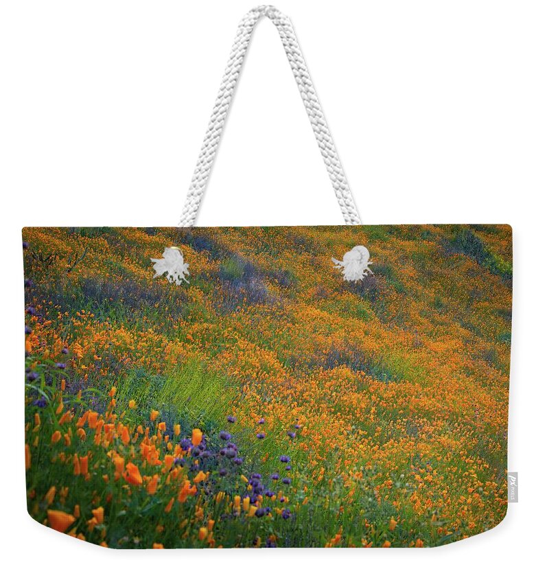 Callfornia Poppy Weekender Tote Bag featuring the photograph Wildflower Super Bloom at Sunrise in Walker Canyon by Rebecca Herranen