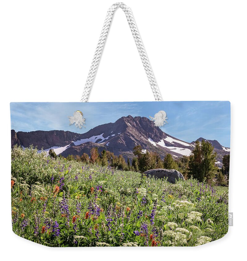 Wildflowers Weekender Tote Bag featuring the photograph Wildflowers at Round Top by Gary Geddes