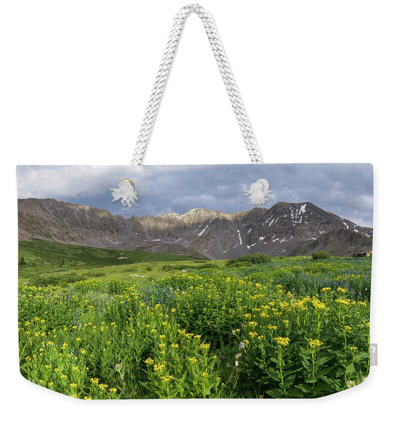 Breckenridge Weekender Tote Bag featuring the photograph Wildflowers in Mayflower Gulch by Aaron Spong